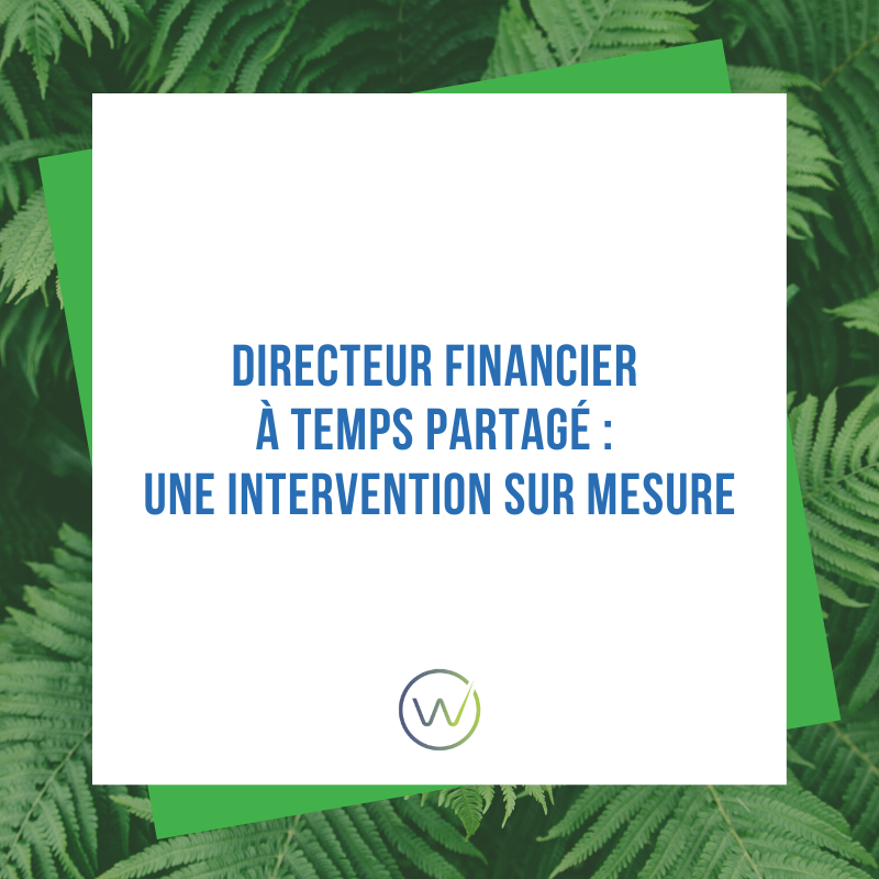 Article Directeurs Financiers à Temps Partagé : une intervention sur-mesure